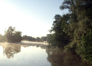 Foto: Morgenneben über der Saône
